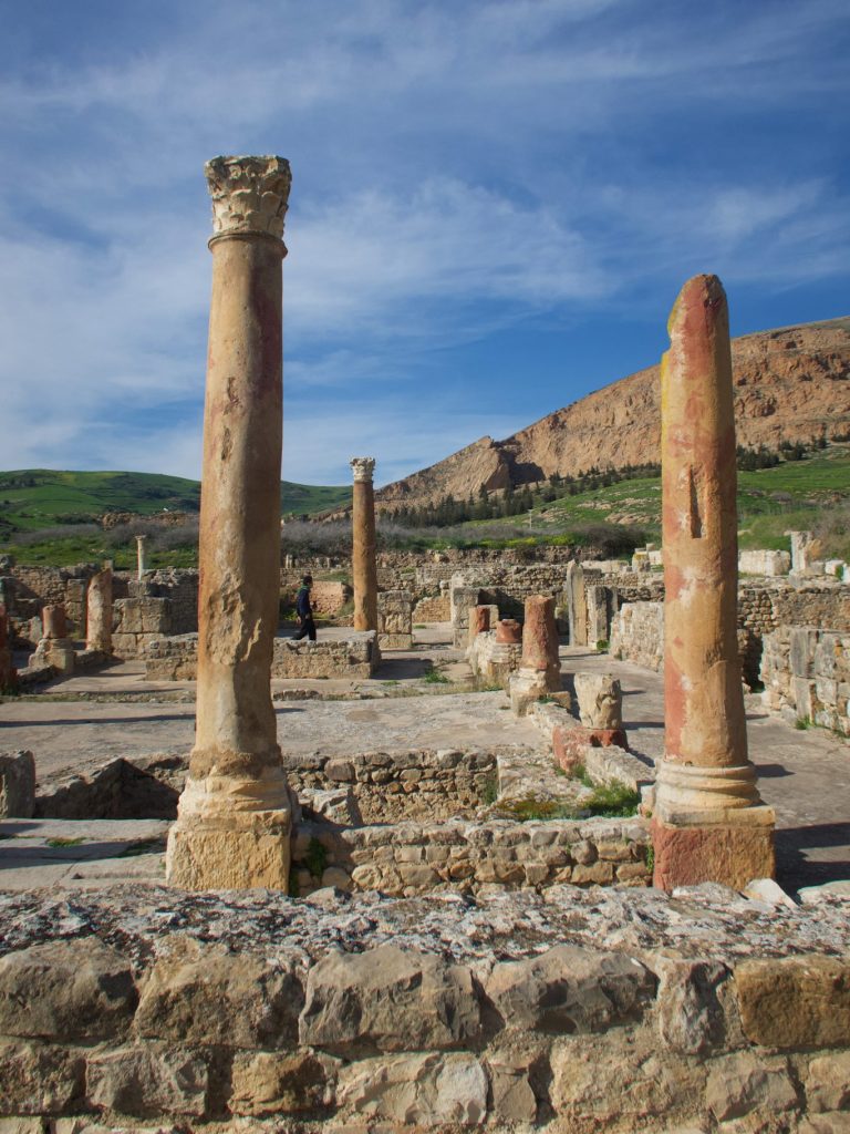 Ruins of ancient columns set against a blue sky and mountainous backdrop at Bulla Regia.