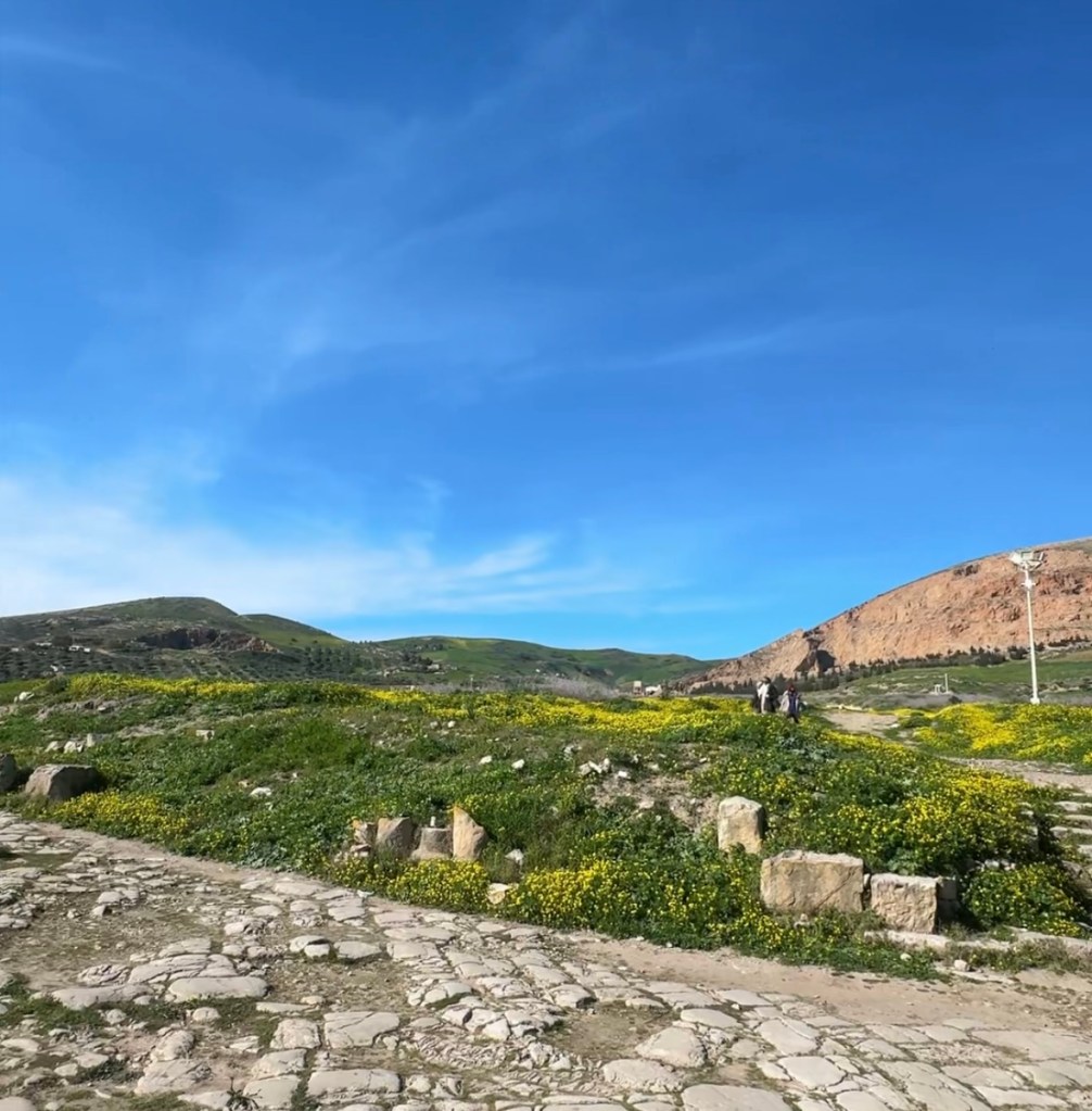 A scenic landscape featuring rolling green hills, rocky formations, and a vibrant field of yellow flowers under a blue sky. A pathway made of large stones leads through the area with a few people walking in the distance.