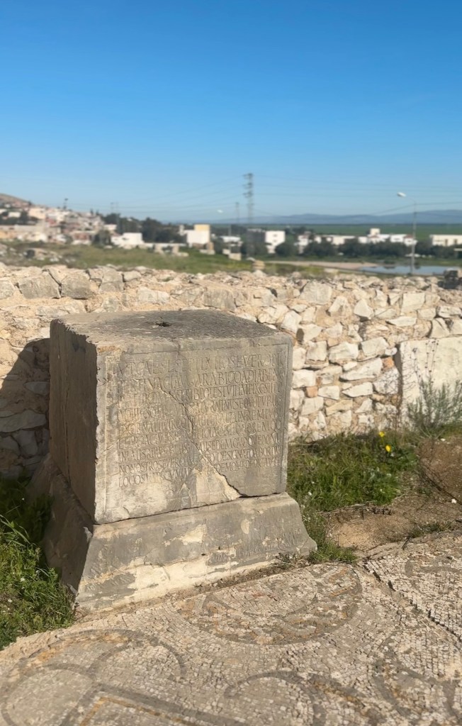 Ancient stone monument with inscriptions in Bulla Regia, surrounded by a rural landscape and modern buildings in the background.